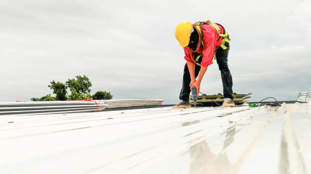 Best Sheet Metal Roofing  in Seattle, WA